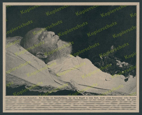 Ernst haeckel tod jena - ernst,