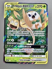 Pokemon TCG Chinese | Tag Team