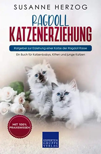 Ragdoll katzenerziehung - katzenerziehung,