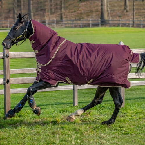 Horseware amigo hero ripstop - amigo,