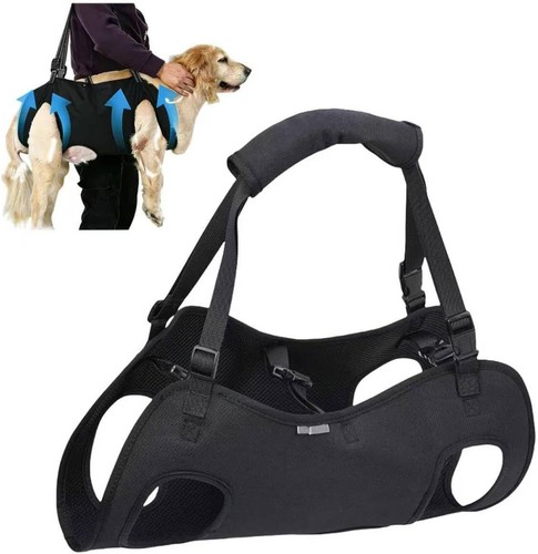 Hunde tragehilfe groß - tragehilfe,