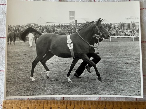 Original foto - original, (18x13)