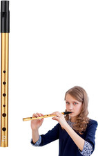 Tin whistle irish penny - tin,
