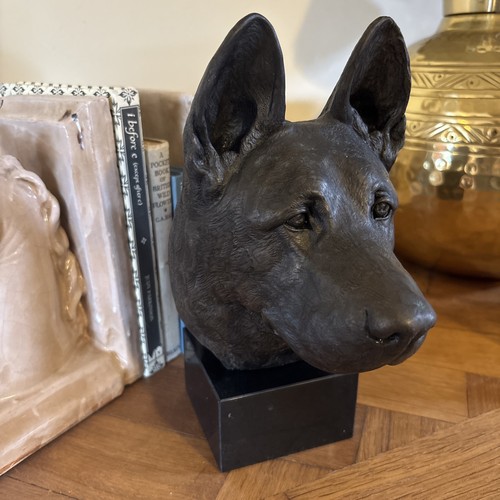 Deutscher schäferhund - deutscher,