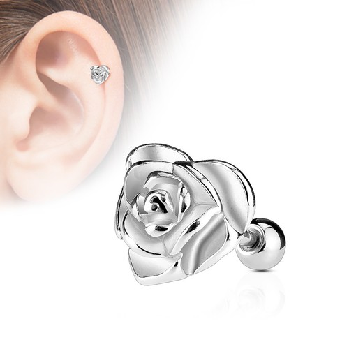 Tragus ohr helix cartilage - tragus,