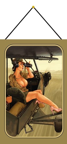 Blechschild 20x30 pin girl - blechschild,