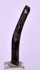 Goldene schwarze - cm,