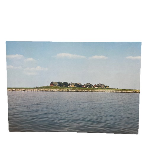 Postkarte hallig oland - postkarte,