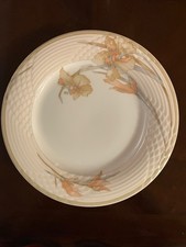 Hutschenreuther 80+ piece