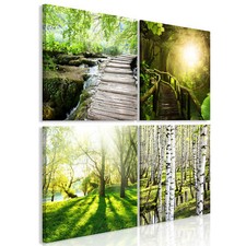 Natur Wald Landschaft Design