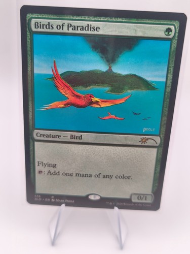 Birds paradise secret lair - of,