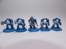 5er Ultramarines Terminator