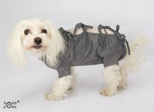 Hemd body für hunde - body*,