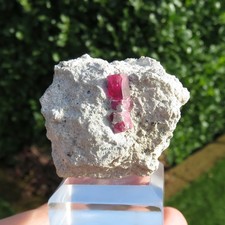 Mineralien *** SEHR SELTENER