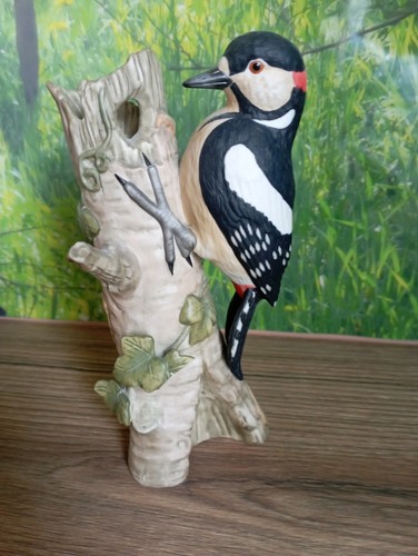 Goebel vogel buntspecht - vogel, "buntspecht"