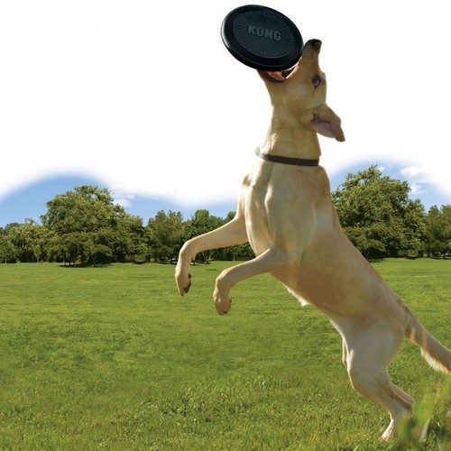 Kong extreme flyer frisbee - kong,
