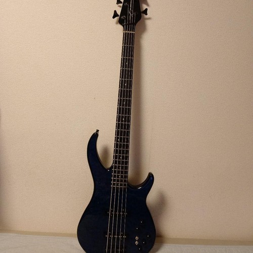 Peavey saitige bassgitarre - 5-saitige, e-bassgitarre