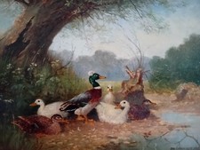 Otto Scheuerer, " Enten am