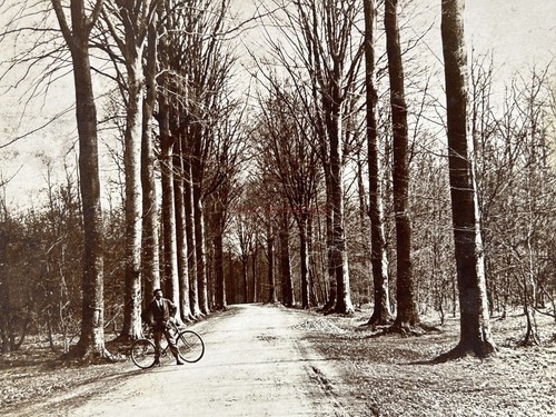 Biker holz c1900 foto - holz, georges