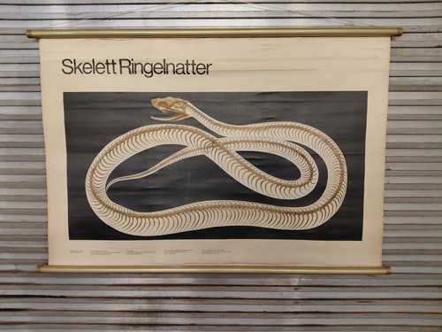 Rollkarte werbetafel karte ddr - rollkarte,