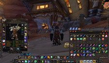 WOW Classic Lösungsbuch Thunderstrike lvl 60 Feral Druide