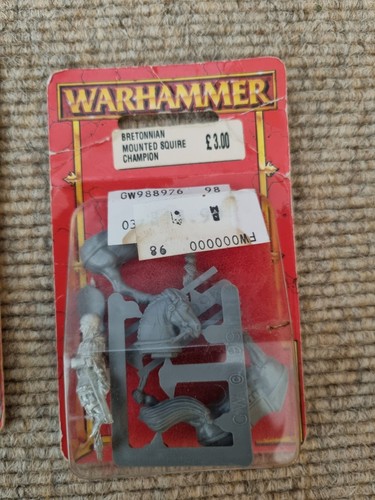 Warhammer berittener knappe - berittener,