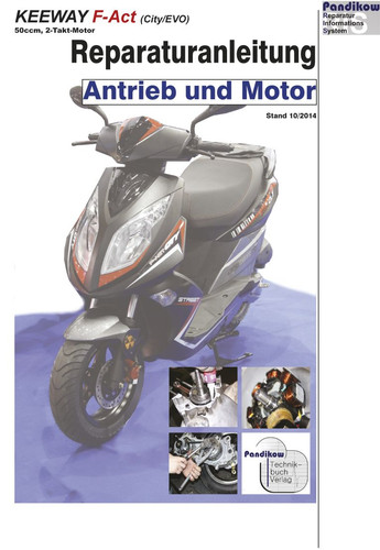 Reparaturanleitung ris für - reparaturanleitung,