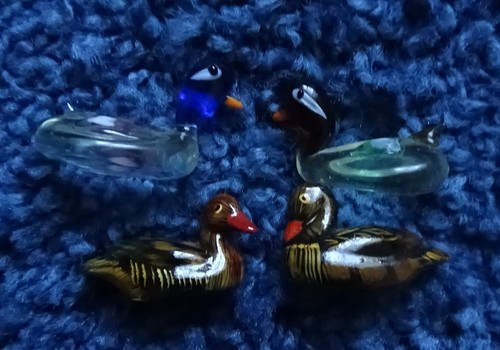 Enten klein stück - klein, /