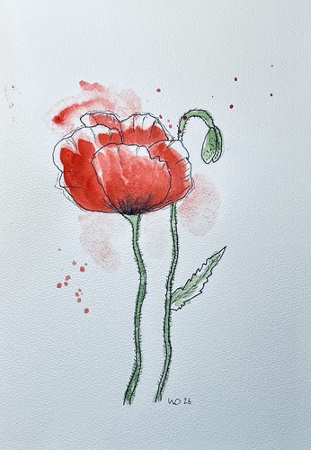 Original aquarell mohnblumen - aquarell,