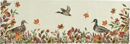 Sander hayle - sander,