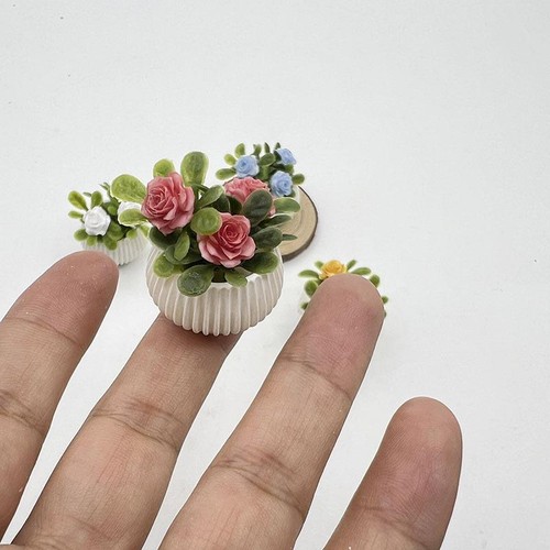 Stück mini rosenpflanze - stück, mini-rosenpflanze