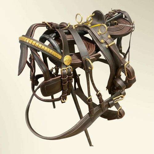 Braun leder fahrgeschirr - braun,