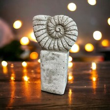 Ammonit auf Säule: Massiver