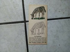 Schokoladenpackung