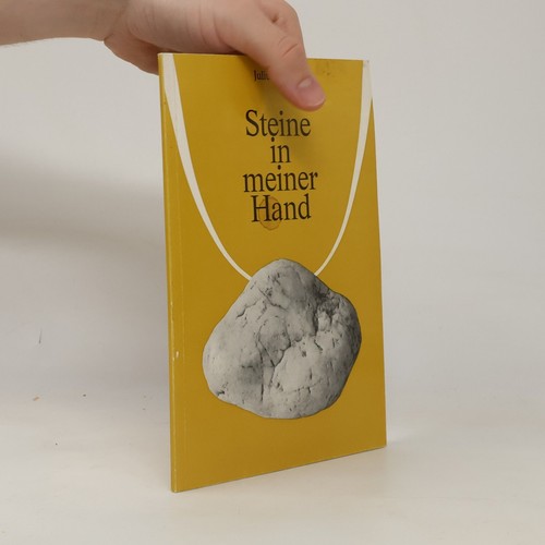 Steine meiner hand mensch - steine,