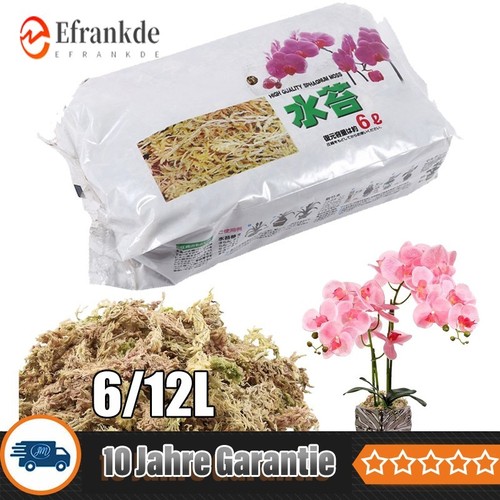12lfür sphagnum - 6l/12lfür,