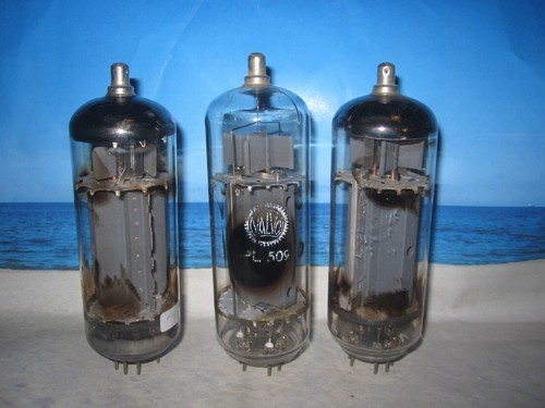 Pl509 pl519 valvo - pl519, (4271)
