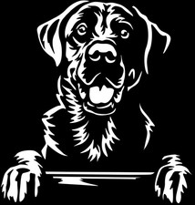 LABRADOR Aufkleber - Labrador