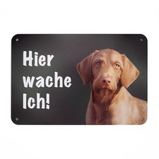 Magyar Vizsla Drahthaar