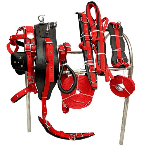 Rot schwarz nylon fahrgeschirr - rot,