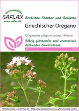 Saflax 17517 Griechischer Oregano (Oreganosamen)