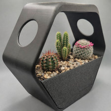 Design trifft Gießkanne –