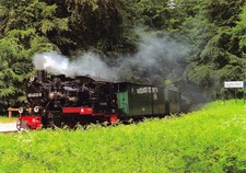 Postkarte Rügen, Rasender