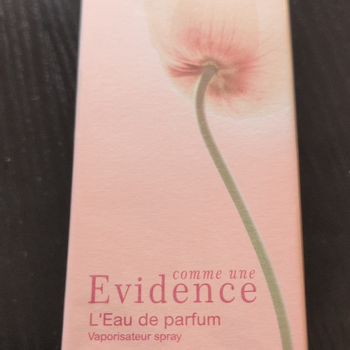 Yves rocher comme une evidence - rocher,
