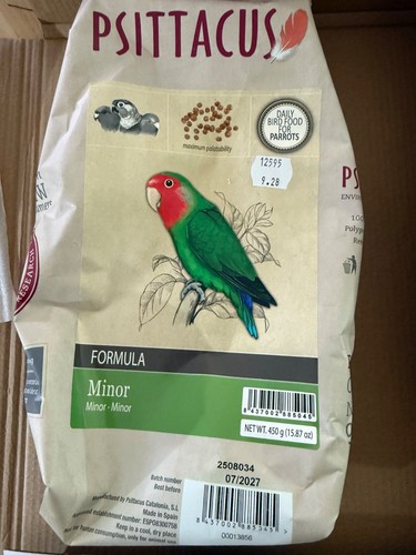 Psittacus minor 450g - psittacus,