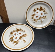 2x Teller Bergholz Sammlung