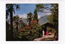 Ansichtskarte Meran /