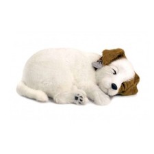 Perfect Petzzz 96347 Jack