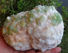 Mordenite Blumen auf Grün