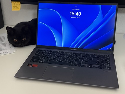 Asus vivobook x512dk - asus, amd
